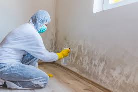 Best Mold Documentation for Insurance Claims  in Alameda, CA