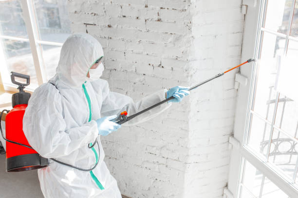 Best Comprehensive Air Testing for Mold Contaminants  in Alameda, CA