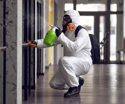 Professional Mold Removal & Remediation in Alameda, CA